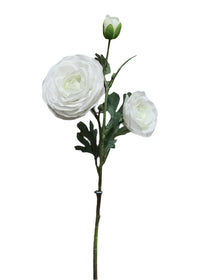 Ranunculus White Triple Bloom Real Touch Stem 24"