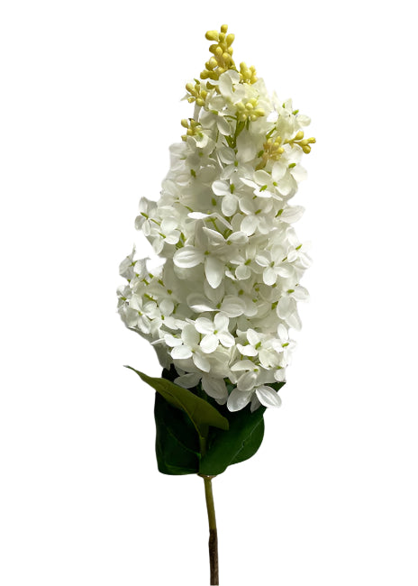 White Lilac Stem 32"