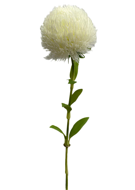 Allium White Real Touch Stem 20"