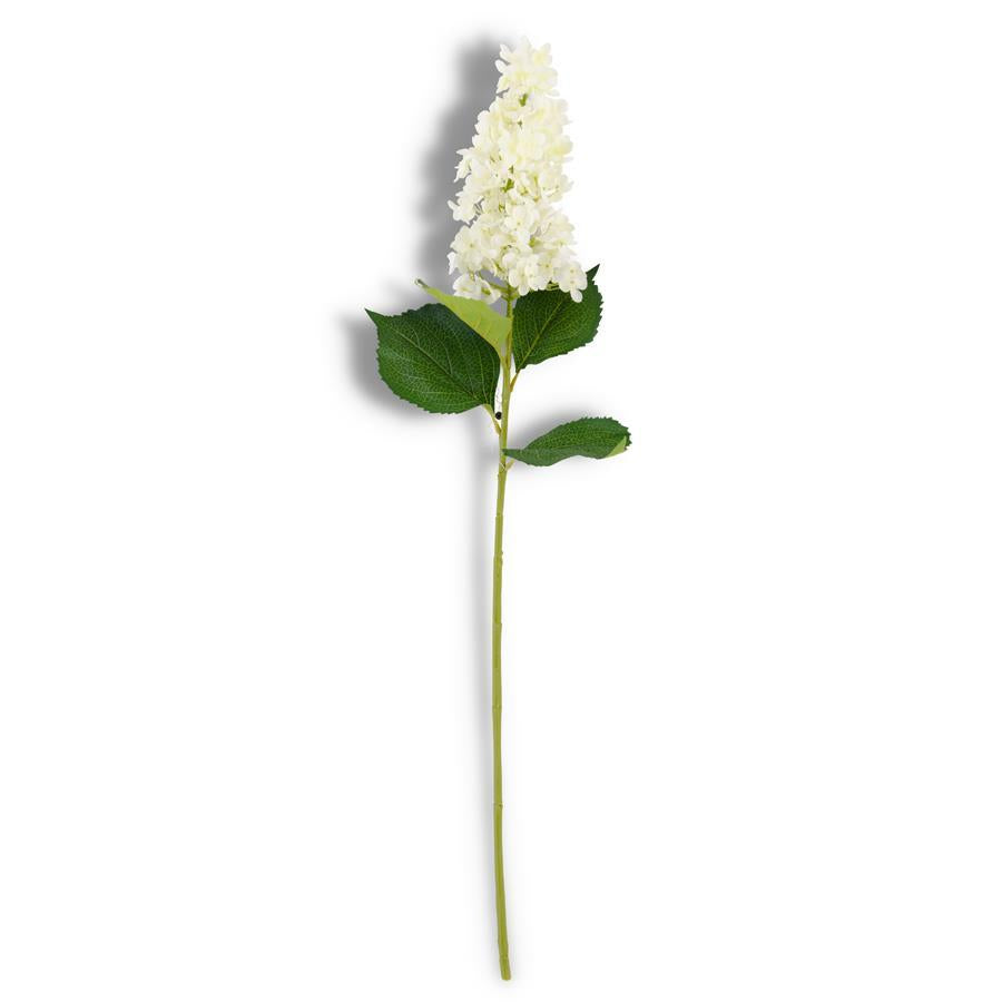 White Cone Hydrangea Stem 38.5"