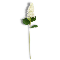 White Cone Hydrangea Stem 38.5"