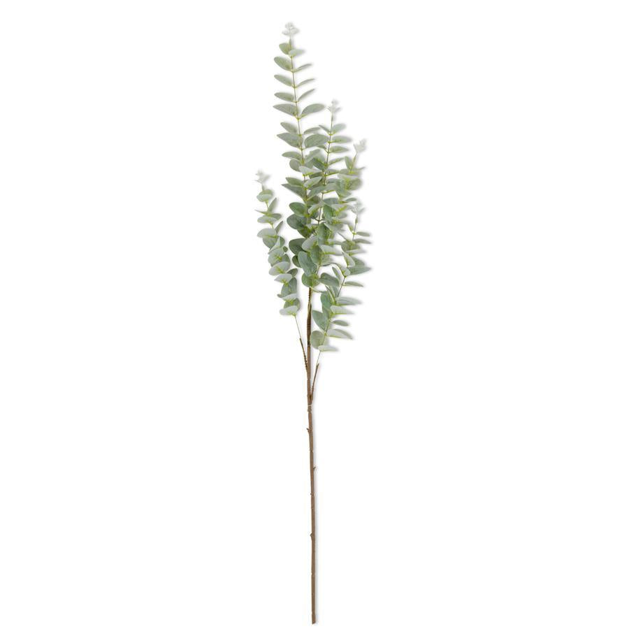 Light Green Gunnii Eucalyptus Stem 38"