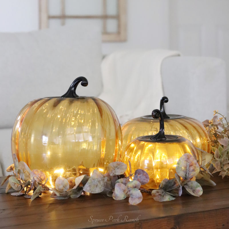 Amber Glass Pumpkin Cloche