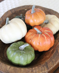 Assorted Mini Filler Pumpkins