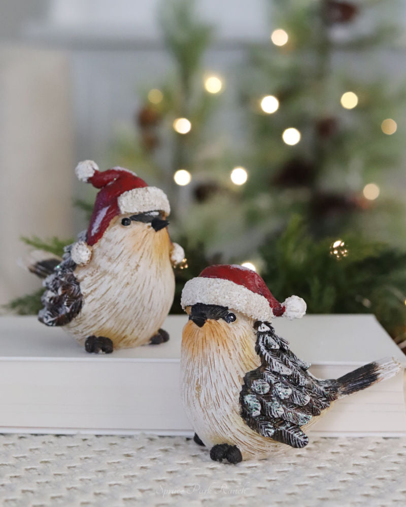 Snowy Pinecone Bird