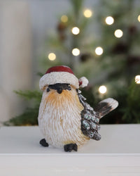 Snowy Pinecone Bird