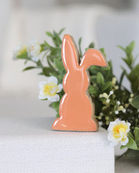 Mini Colourful Wood Bunny