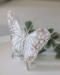 Whitewashed Tabletop Butterfly