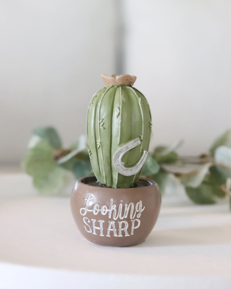 Resin Cactus Sentiment Decor