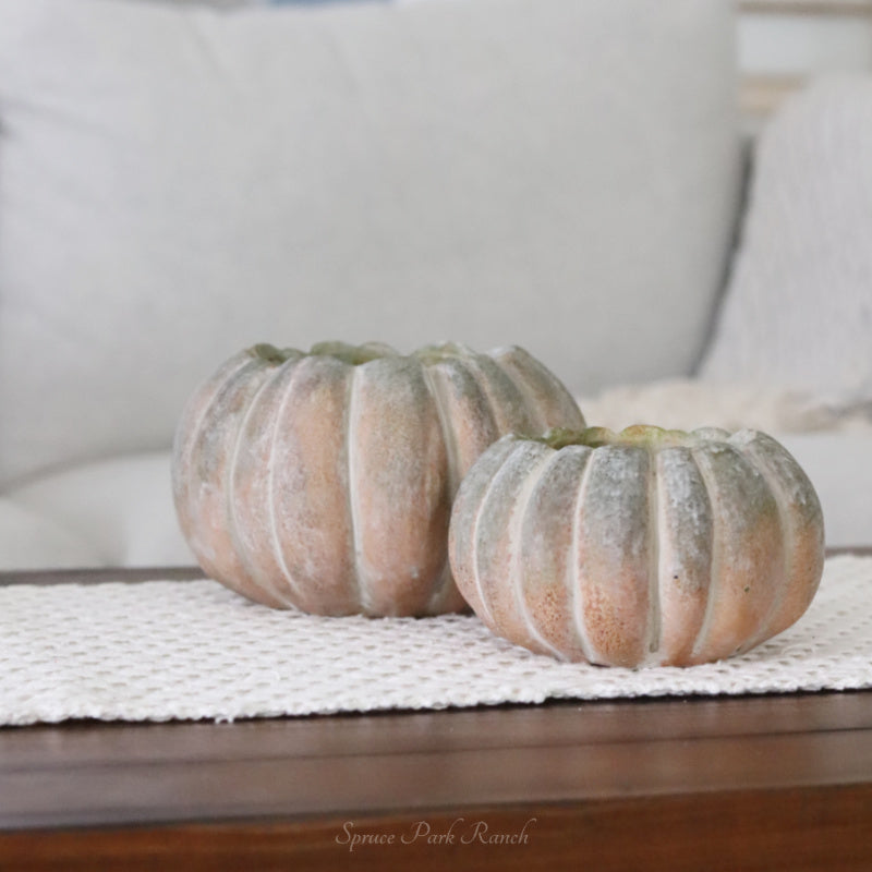 Whitewashed Orange and Green Cement Pumpkin Pot Short