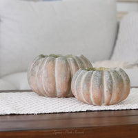 Whitewashed Orange and Green Cement Pumpkin Pot Short