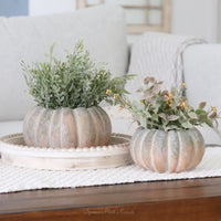 Whitewashed Orange and Green Cement Pumpkin Pot Short