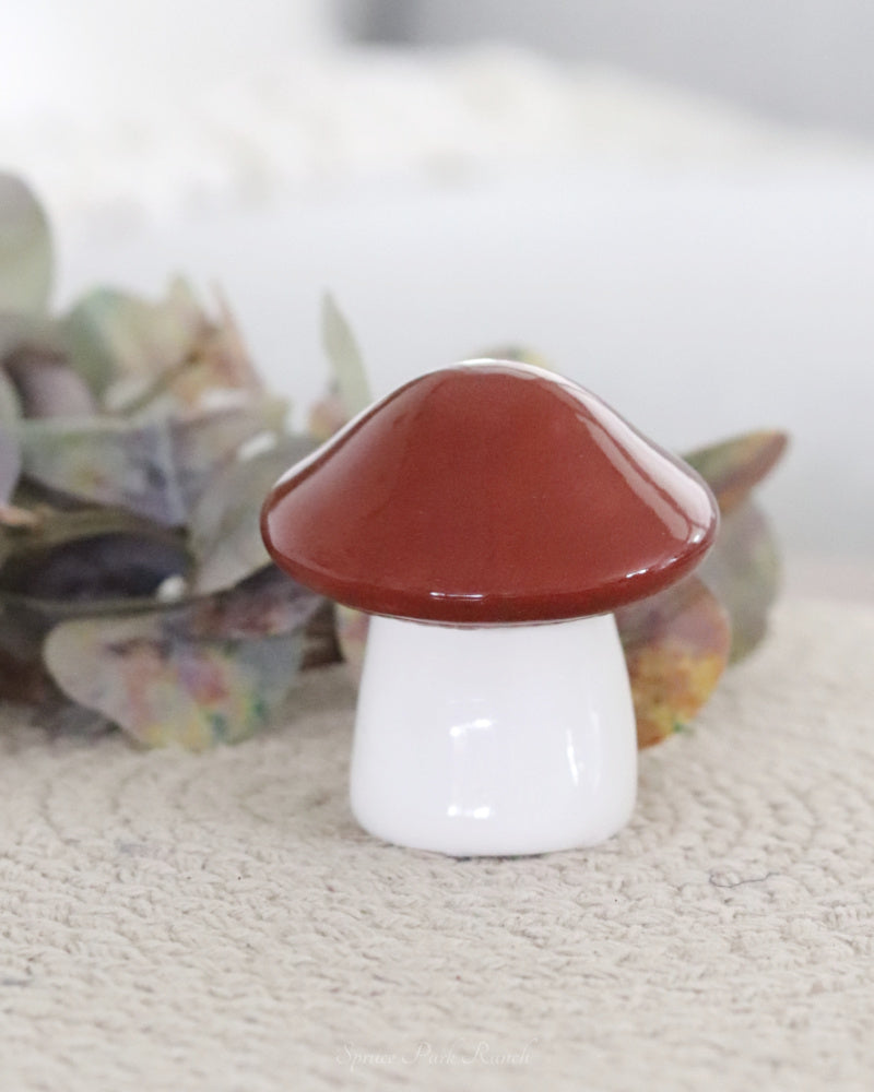 Ceramic Mushroom