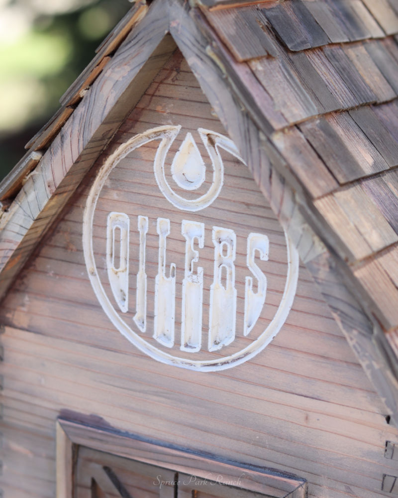 Cook County Saloon Birdhouse With Oilers Logo