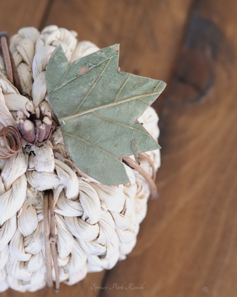 Cream Braided Cornhusk Pumpkin