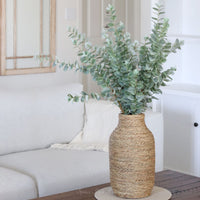 Light Green Gunnii Eucalyptus Stem 38"