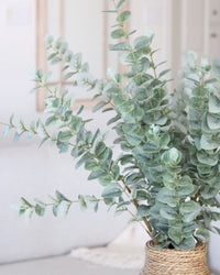 Light Green Gunnii Eucalyptus Stem 38"