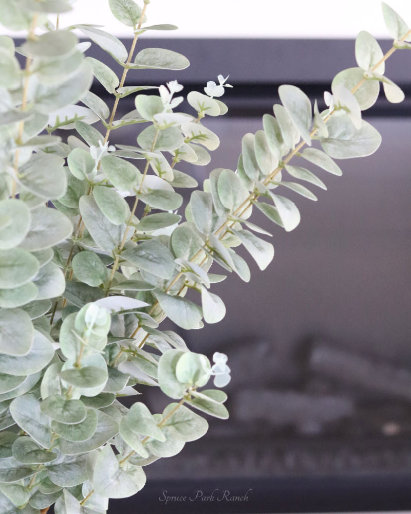 Light Green Gunnii Eucalyptus Stem 38"