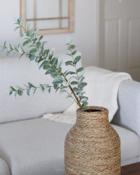 Light Green Gunnii Eucalyptus Stem 38"