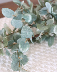 Garden Eucalyptus Greenery Collection