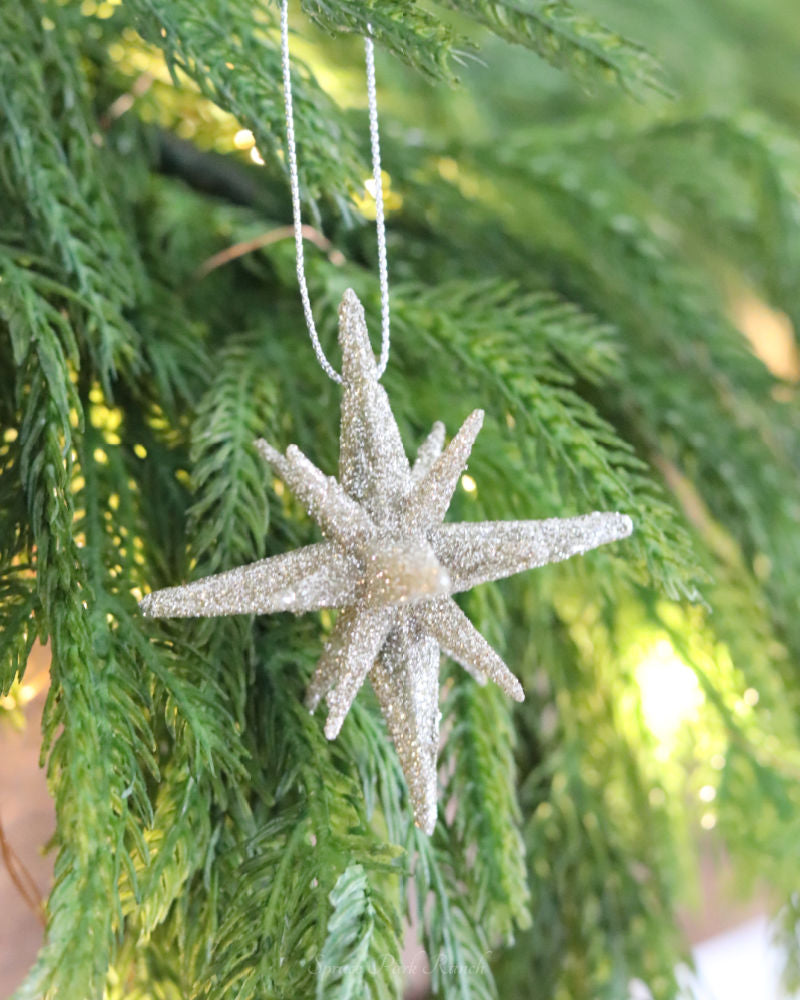 Mini Glitter Star Ornament