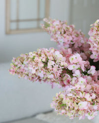 Pink Cone Hydrangea Stem 38.5"