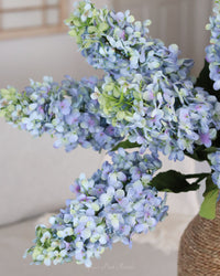 Blue Cone Hydrangea Stem 38.5"