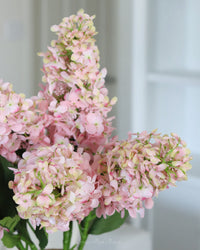 Pink Cone Hydrangea Stem 38.5"