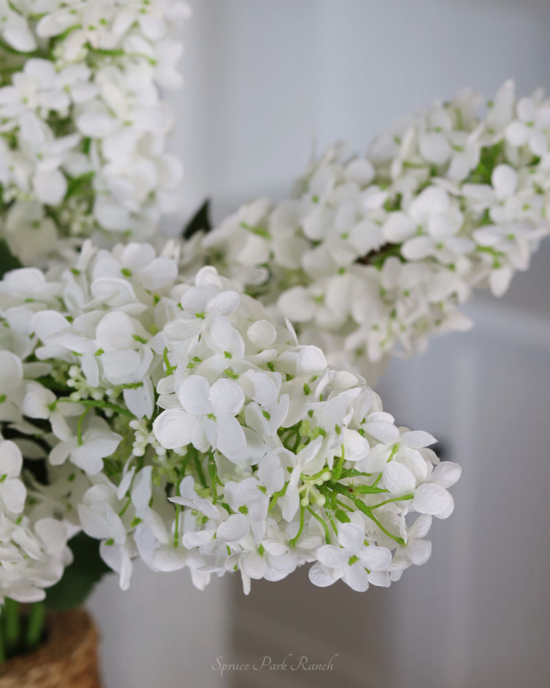 White Cone Hydrangea Stem 38.5"