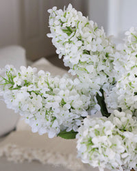 White Cone Hydrangea Stem 38.5"