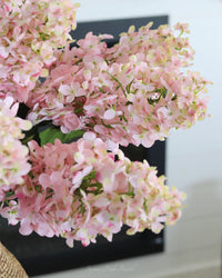 Pink Cone Hydrangea Stem 38.5"