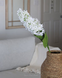 White Cone Hydrangea Stem 38.5"