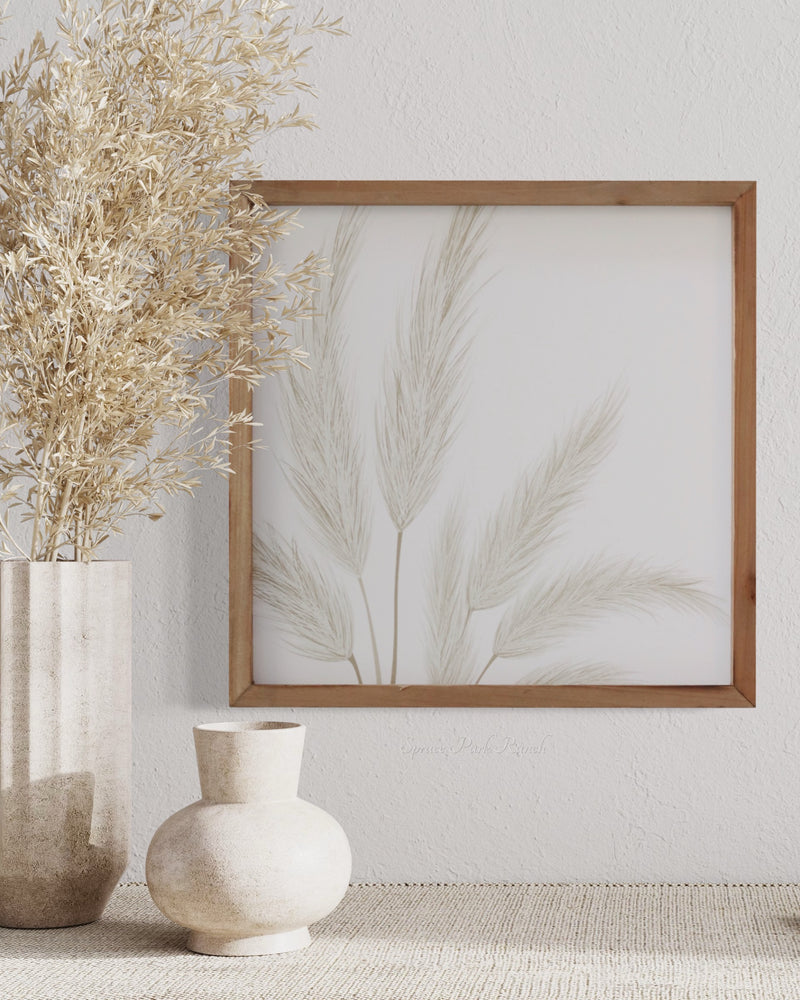 Pampas Grass Canvas