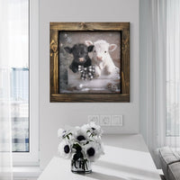 Black and White Calves in Box With Bow Canvas Print