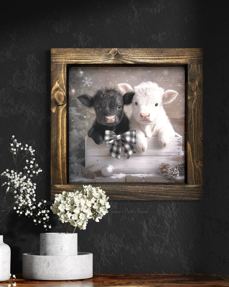 Black and White Calves in Box With Bow Canvas Print