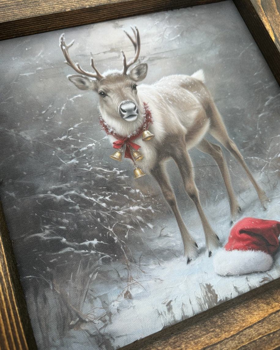 Reindeer With Gold Bell Collar Canvas Print