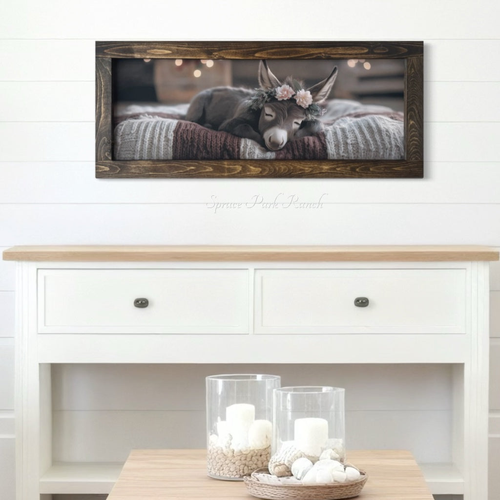 Baby Donkey Sleeping Canvas Print 15" x 36"