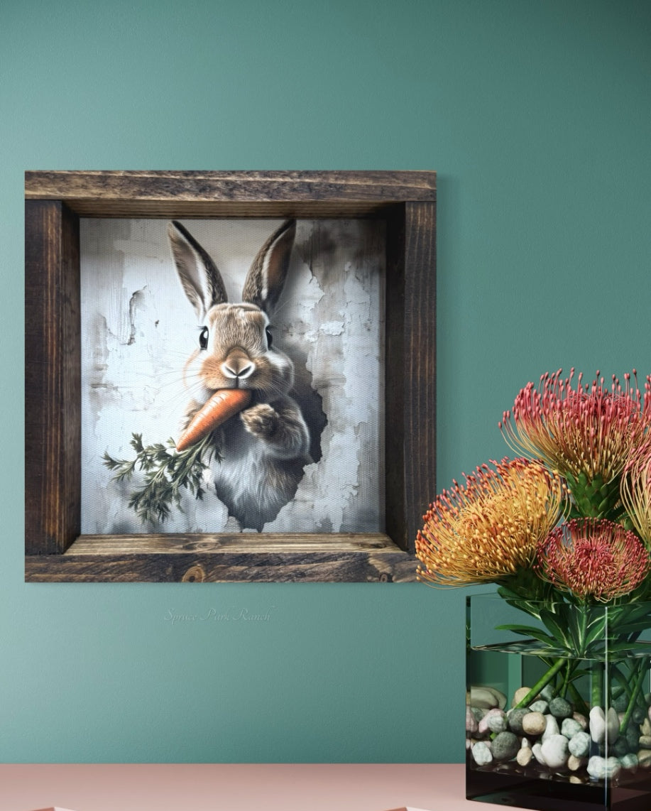 Bunny Popping From Wall Canvas Print