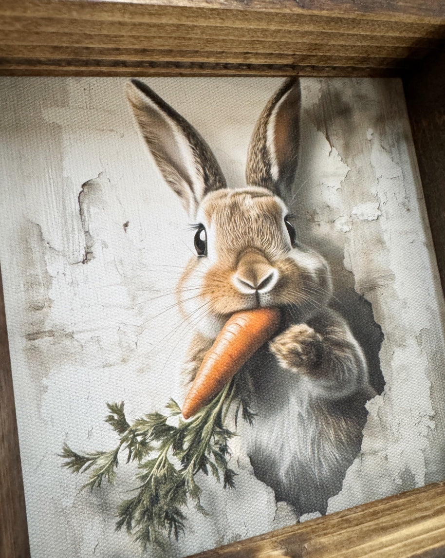 Bunny Popping From Wall Canvas Print