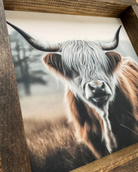 White and Brown Highland Cow Canvas Print