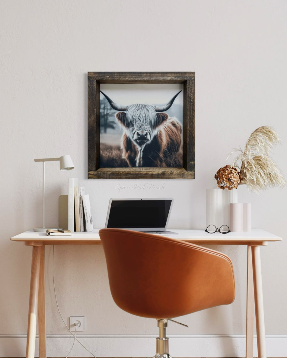 White and Brown Highland Cow Canvas Print