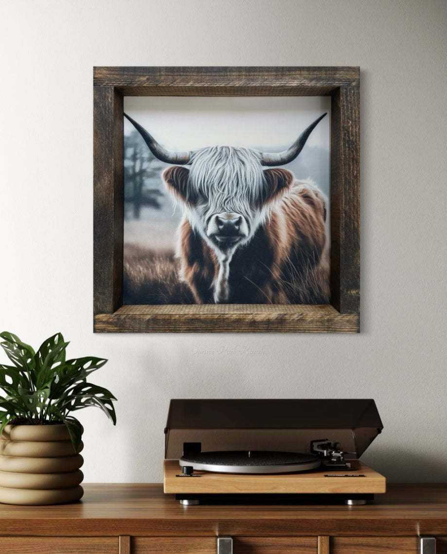 White and Brown Highland Cow Canvas Print