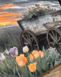 Sunset Flower Wagon Canvas Print