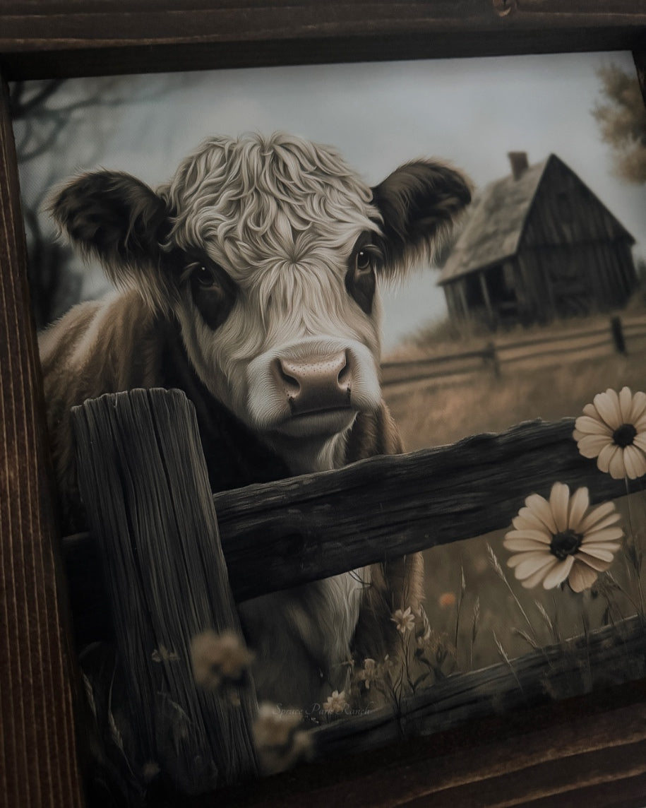 Brown and White Cow Canvas Print