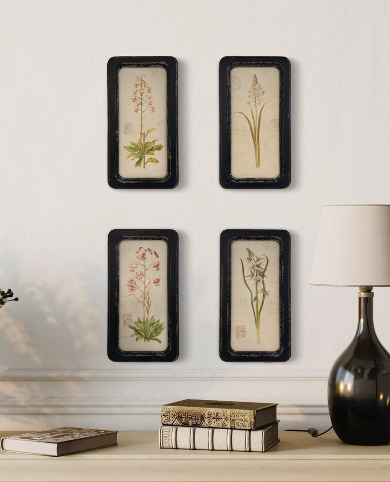 Black Framed Botanical Print