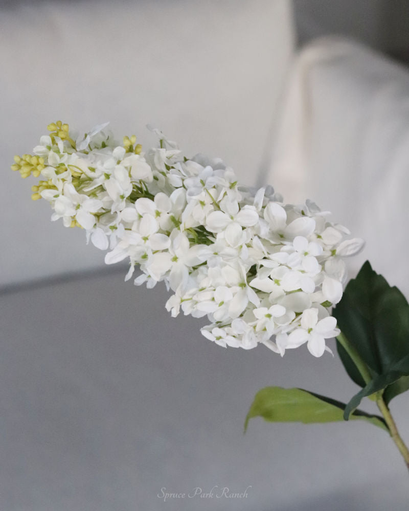 White Lilac Stem 32"