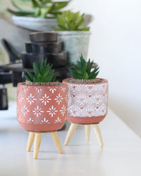 Terracotta Boho Mini Planter