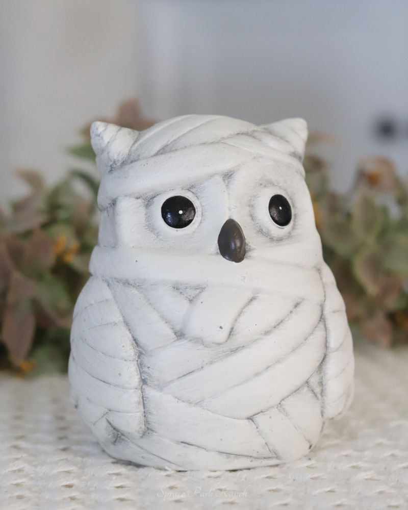 Mummy Owl