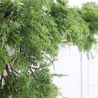 Northern White Cedar Greenery Collection  Real Touch