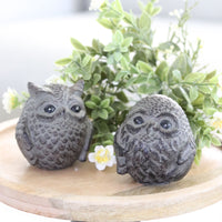 Textured Cement Owl Decor